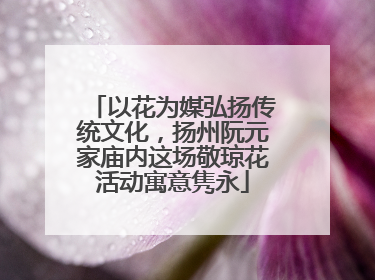 以花为媒弘扬传统文化，扬州阮元家庙内这场敬琼花活动寓意隽永