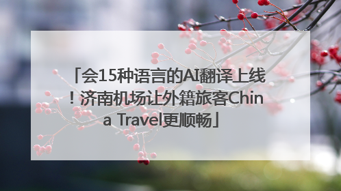 会15种语言的AI翻译上线！济南机场让外籍旅客China Travel更顺畅