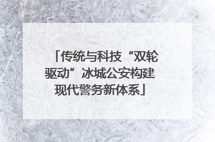 传统与科技“双轮驱动”冰城公安构建现代警务新体系