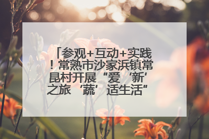 参观+互动+实践！常熟市沙家浜镇常昆村开展“爱‘新’之旅‘蔬’适生活”参观学习活动