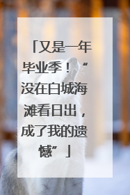 又是一年毕业季！“没在白城海滩看日出，成了我的遗憾”