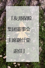 友邦保险集团董事会主席谢仕荣退任