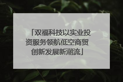 双福科技以实业投资服务领航低空商贸创新发展新潮流