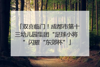 双喜临门！成都市第十三幼儿园集团“足球小将”闪耀“东郊杯”