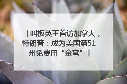 叫板英王首访加拿大，特朗普：成为美国第51州免费用“金穹”