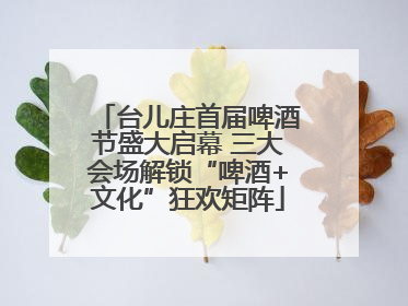 台儿庄首届啤酒节盛大启幕 三大会场解锁“啤酒+文化”狂欢矩阵