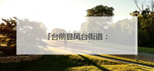 台前县凤台街道：“线上线下”齐发力 暖心验证进行时