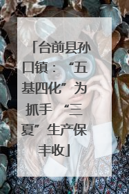 台前县孙口镇：“五基四化”为抓手 “三夏”生产保丰收