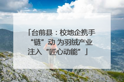 台前县：校地企携手“链”动 为羽绒产业注入“匠心动能”