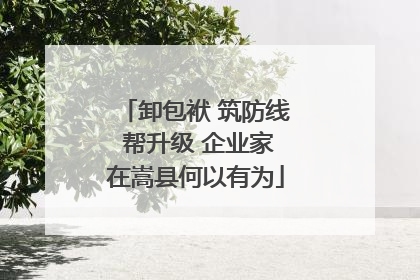 卸包袱 筑防线 帮升级 企业家在嵩县何以有为