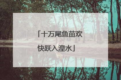 十万尾鱼苗欢快跃入湟水