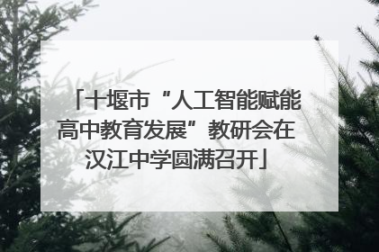 十堰市“人工智能赋能高中教育发展”教研会在汉江中学圆满召开