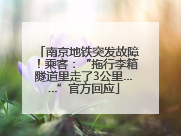 南京地铁突发故障！乘客：“拖行李箱隧道里走了3公里……”官方回应