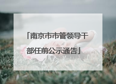 南京市市管领导干部任前公示通告