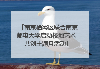 南京栖霞区联合南京邮电大学启动校地艺术共创主题月活动