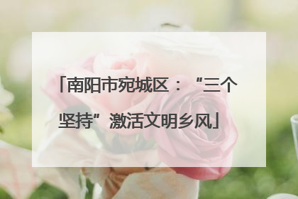 南阳市宛城区：“三个坚持”激活文明乡风