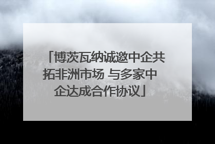 博茨瓦纳诚邀中企共拓非洲市场 与多家中企达成合作协议