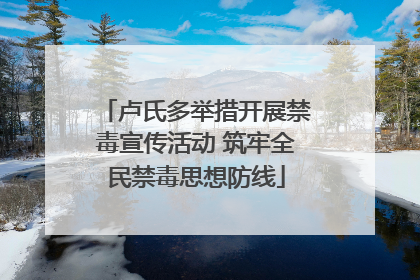 卢氏多举措开展禁毒宣传活动 筑牢全民禁毒思想防线