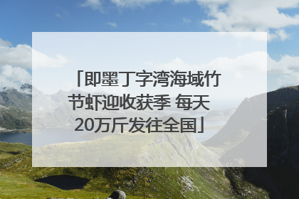即墨丁字湾海域竹节虾迎收获季 每天20万斤发往全国