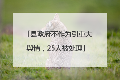 县政府不作为引重大舆情，25人被处理
