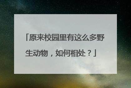 原来校园里有这么多野生动物，如何相处？