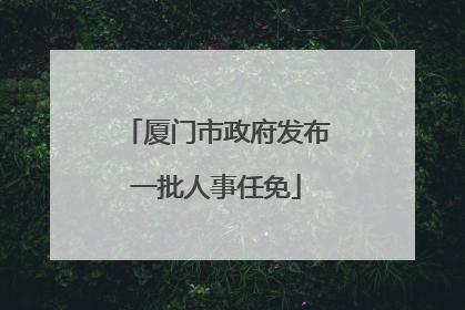 厦门市政府发布一批人事任免