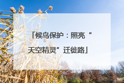 候鸟保护：照亮“天空精灵”迁徙路