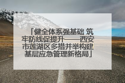健全体系强基础 筑牢防线促提升——西安市莲湖区多措并举构建基层应急管理新格局