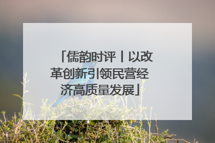 儒韵时评丨以改革创新引领民营经济高质量发展