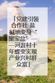 党建引领合作社 盐碱地变身“聚宝盆”——河涯村十年蝶变实现产业兴村群众富