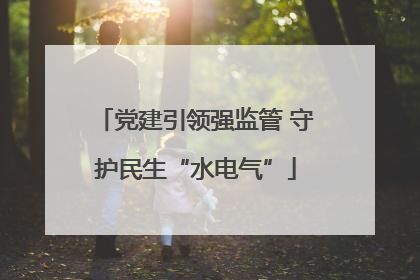 党建引领强监管 守护民生“水电气”