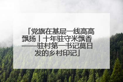 党旗在基层一线高高飘扬丨十年驻守米飘香——驻村第一书记莫日发的乡村印记