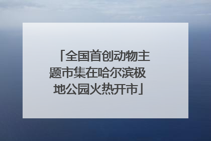 全国首创动物主题市集在哈尔滨极地公园火热开市