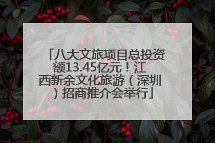 八大文旅项目总投资额13.45亿元！江西新余文化旅游（深圳）招商推介会举行