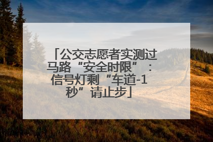 公交志愿者实测过马路“安全时限”：信号灯剩“车道-1秒”请止步