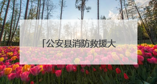 公安县消防救援大队联合县应急管理局开展主题党日活动