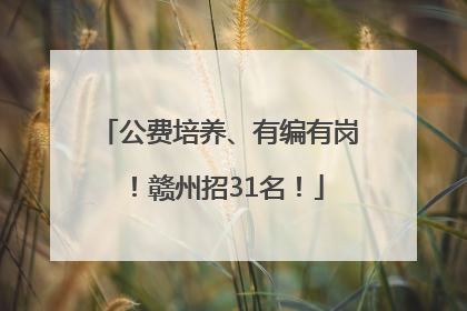 公费培养、有编有岗！赣州招31名！