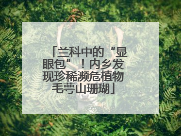 兰科中的“显眼包”！内乡发现珍稀濒危植物毛萼山珊瑚