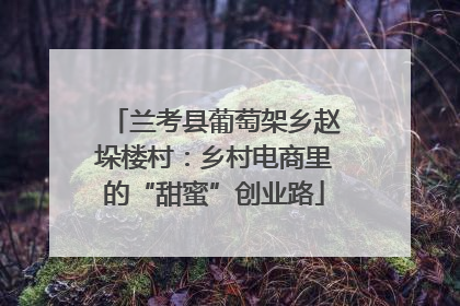 兰考县葡萄架乡赵垛楼村：乡村电商里的“甜蜜”创业路