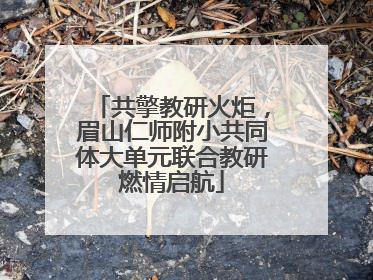 共擎教研火炬，眉山仁师附小共同体大单元联合教研燃情启航