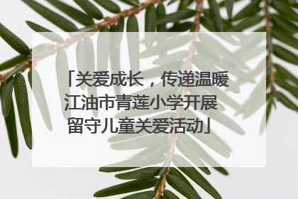 关爱成长，传递温暖 江油市青莲小学开展留守儿童关爱活动