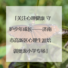 关注心理健康 守护少年成长——济南市高新区心理生涯培训奥龙小学专场