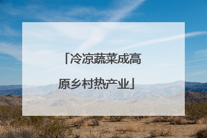 冷凉蔬菜成高原乡村热产业