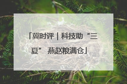 冀时评｜科技助“三夏” 燕赵粮满仓
