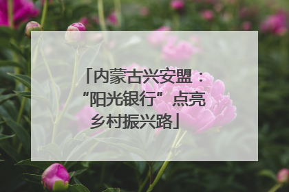 内蒙古兴安盟：“阳光银行”点亮乡村振兴路