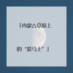 内蒙古草原上的“爱马士”