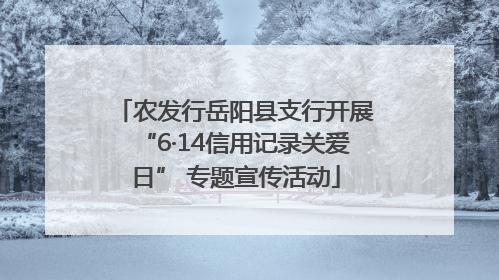 农发行岳阳县支行开展“6·14信用记录关爱日” 专题宣传活动