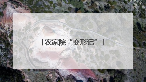 农家院“变形记”