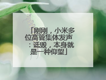 刚刚，小米多位高管集体发声：诋毁，本身就是一种仰望