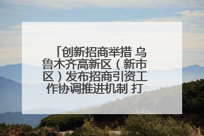 创新招商举措 乌鲁木齐高新区（新市区）发布招商引资工作协调推进机制 打造投资发展新高地